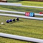 Image result for Picture of Bocce Players Fighting