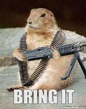 Image result for Funny Prairie Dog