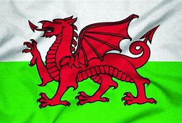 Image result for Welsh Dragon Flag