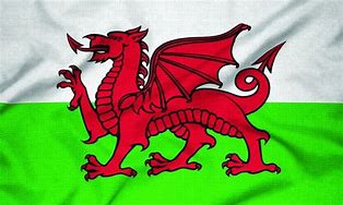 Image result for Welsh Dragon Flag Dinner Suit