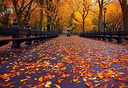 Image result for Cozy Fall Laptop Backgrounds