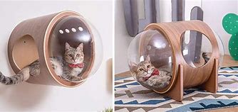 Image result for Cat Beds Product