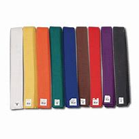 Image result for Colored Belts