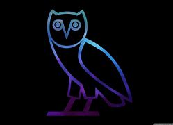 Image result for Drake Owl