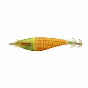 Image result for Fake Fishing Bait