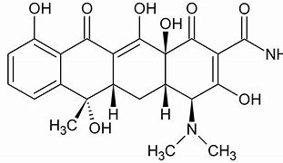 Image result for Doxycycline