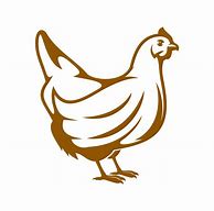 Image result for Chicken Poultry