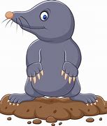 Image result for mole cartoon clip art