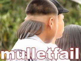 Image result for Funny Mullet Quotes