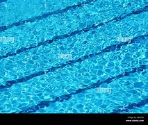 Image result for 2 Lane Swimming Pool