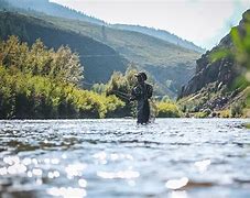 Image result for Dry Fly Fishing