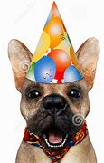 Image result for Party Dog Smiley