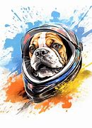 Image result for dog motorcycle helmet safety