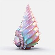 Image result for Conch Shell Ai