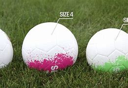 Image result for 4 Foot Beach Ball