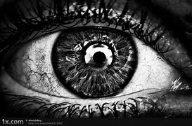 Image result for Macro Eye Photography African American