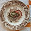 Image result for Turkey Plate