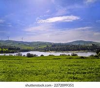 Image result for Tunisia Nature