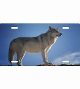 Image result for Zazzle License Plates Wolf