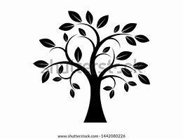 Image result for Tree Graphic Black and White Cofee