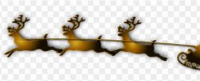 Image result for Caribou Reindeer Clip Art