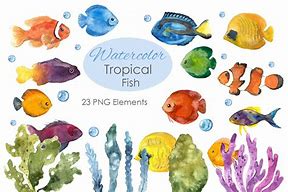 Image result for Fish Drawing Clip Art