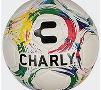 Image result for Hall of Fame Soccer Ball