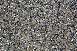 Image result for Lapilli Volcanic Rock