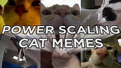 Powerscaling Cat Memes