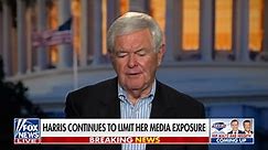 Sean Hannity - Newt Gingrich: Undecided voters...