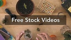 Weed Videos, Download The BEST Free 4k Stock Video Footage & Weed HD Video Clips