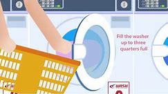 Laundry Basics