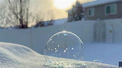 Soap Bubbles Freeze Over Beautifully During Icy Weather