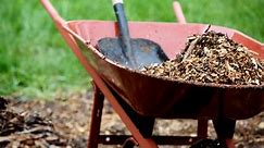 Mulch: The best types of mulch for your garden