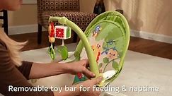 Baby Walker & Swing (infants to toddler)