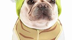 Be The Star on Halloween with a Baby Yoda Dog Costume