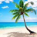 Beach Pictures Wallpaper