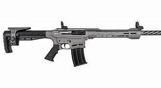 Image result for Best Affordable 12 Gauge Shotgun