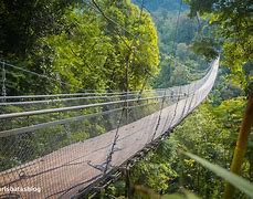 Image result for Struktur Jembatan Gantung Wisata