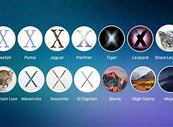 Image result for Mac OS X Variant