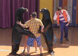 Image result for SeaWorld Sea Lion Show