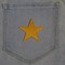 Image result for Small Gold Star Patches