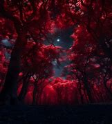 Image result for Red Moon Forest