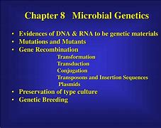 Image result for Microgenia