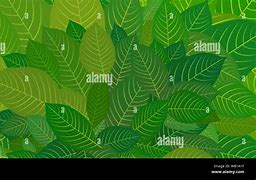 Image result for Bright Green Leaves Poster