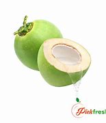 Image result for Coconut