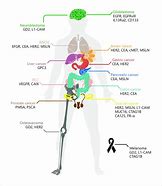 Image result for COPD Amboss