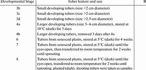 Image result for Life Cycle of Potato Tuber Moth