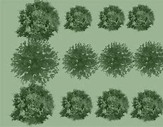 Image result for Landscape Architecture Photoshop Brushes