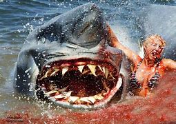 Image result for Shark Eating Gold Medal